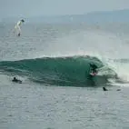 simon_shields_surfdek