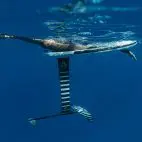 armstrong_surf_foil_board_2