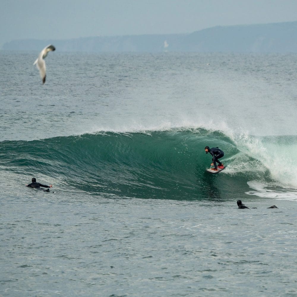 simon_shields_surfdek simon_shields_surfdek