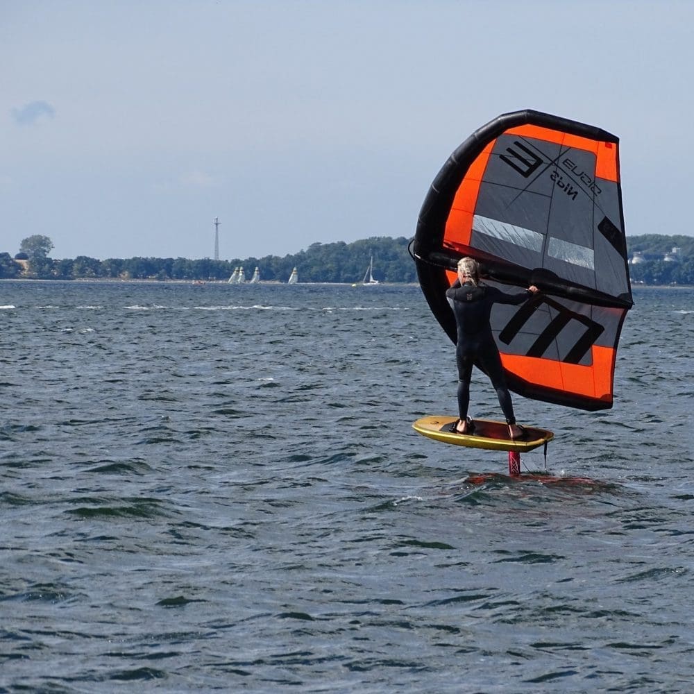 ensis_spin_wing_action_2 ensis_spin_wing_action_2